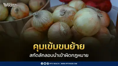 พาณิชย์คุมเข้มขนย้ายหอมหัวใหญ่ สกัดลักลอบนำเข้า รักษาเสถียรภาพราคาในประเทศ