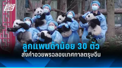 รัฐบาลเตรียมปรับโครงสร้างภาษีใหม่ หวังกระตุ้นเศรษฐกิจและลดความเหลื่อมล้ำ