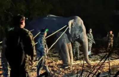 กทม. เตรียมปรับปรุงระบบไฟส่องสว่างถนน เปลี่ยนเป็น LED ทั่วกรุง ภายในปี 2568