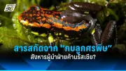 รัฐบาลไทยเตรียมปรับปรุงโครงสร้างพื้นฐานด้านการขนส่งทั่วประเทศ