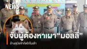 ตำรวจจับกุมผู้ต้องหาทำร้ายสุนัข 'มอลลี่' ราดน้ำมันจุดไฟเผา พร้อมของกลางถังน้ำมัน