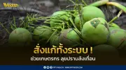 ศุภจี สั่งแก้ปัญหามะพร้าวน้ำหอมครบวงจร ตรวจล้งนอมินี-หาตลาดรองรับ