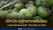 มะพร้าวน้ำหอมราชบุรีขึ้นทะเบียน GI ในสหภาพยุโรป เปิดตลาดพรีเมียมให้สินค้าเกษตรไทย