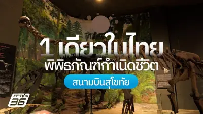 เปิดโลกดึกดำบรรพ์ที่พิพิธภัณฑ์กำเนิดชีวิต สุโขทัย ชมซากฟอสซิลสมบูรณ์ที่สุดในไทย