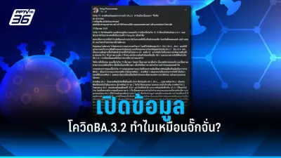 สธ. เตือนประชาชนระวังโรคไข้เลือดออกระบาดหนักช่วงหน้าฝน