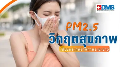 วิกฤตฝุ่น PM2.5 ภาคเหนือพุ่งอันดับโลก เสี่ยงโรคเรื้อรังแฝงตัวในร่างกาย