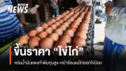 ไข่ไก่ปรับราคาพุ่ง! หลายจังหวัดขึ้นแผงละ 6 บาท หลังสหกรณ์ผู้เลี้ยงประกาศเพิ่ม 20 สตางค์ต่อฟอง