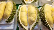 กระทรวงพาณิชย์รับมือผลไม้ออกดก 6.91 ล้านตัน ตั้งเป้าทุเรียนกิโลละไม่ต่ำกว่า 100 บาท