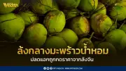 ผ่าแนวคิด 'ล้งกลางมะพร้าวน้ำหอม' ปลดแอกเกษตรกรจากล้งจีนกดราคา