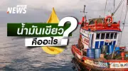 น้ำมันเขียว: เชื้อเพลิงสีเขียวที่ช่วยพยุงต้นทุนชาวประมงไทยท่ามกลางวิกฤตราคาพลังงาน