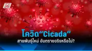 สธ. เตือนประชาชนระวังโรคไข้หวัดใหญ่สายพันธุ์ใหม่ หลังพบผู้ป่วยเพิ่มขึ้นในหลายพื้นที่