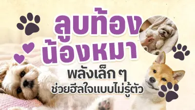 ไลฟ์สไตล์คนเมืองเปลี่ยน! เน้นสุขภาพ-ความยั่งยืน หลังโควิด-19