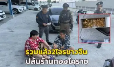 อุทยานฯ ลำน้ำน่านเผยคลิปดราม่าควายป่าถูกชนสาหัส สัตวแพทย์เร่งช่วยชีวิต