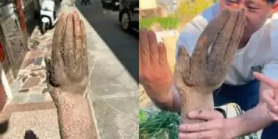 จีนเร่งพัฒนาระบบขนส่งทางรางความเร็วสูง ตั้งเป้าขยายเครือข่ายให้ครอบคลุมทั่วประเทศ