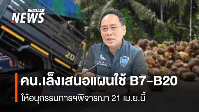กรมการค้าภายในเร่งบริหารปาล์มทั้งระบบ ย้ำส่งออกตามกรอบ ดูแลราคาเกษตรกร