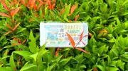 10 อันดับเลขเด็ดหวยงวด 16 เมษายน ขายดีจนเกลี้ยงแผง คอหวยกว้านซื้อเลขดังสงกรานต์