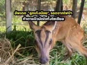 เปิดตัว 'แอปพลิเคชันเที่ยวไทย' กระตุ้นการท่องเที่ยวในประเทศ หลังวิกฤตโควิด-19