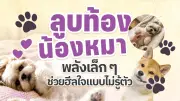 ไลฟ์สไตล์คนเมืองเปลี่ยน! เน้นสุขภาพ-ความยั่งยืน หลังโควิด-19