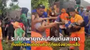 พายุฤดูร้อนถล่มอำเภอปากพนัง บ้านเรือนเสียหายกว่า 200 หลัง