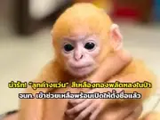 เที่ยวเมืองรอง 2567 สัมผัสเสน่ห์วิถีถิ่น เปิดประสบการณ์ใหม่ทั่วไทย