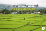 เที่ยวเชียงคาน 2568 ที่เที่ยวใหม่ ที่พักสวย วิวโขง บรรยากาศสุดชิล