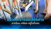 รัฐบาลเร่งแก้ปัญหาความยากจน ตั้งเป้าลดอัตราคนจนเหลือต่ำกว่า 5% ภายในปี 2570