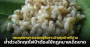 เปิดตัว ‘เราเที่ยวด้วยกัน’ เฟส 5 หวังกระตุ้นเศรษฐกิจท่องเที่ยว