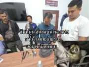 หญิงวัย 53 ปี ถูกสามีทำร้ายร่างกายจนเสียชีวิต คาดสาเหตุจากความเครียด