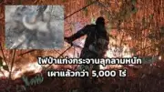 กทม. เตรียมปรับปรุงระบบจราจร หลังพบปัญหารถติดหนักช่วงฝนตก