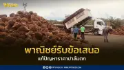 กระทรวงพาณิชย์สั่งเข้มตรวจราคารับซื้อปาล์มทั่วประเทศ รับข้อเสนอเกษตรกรแก้ปัญหาราคาตก