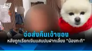 สหรัฐฯ ประกาศคว่ำบาตรรัสเซียเพิ่มเติม หลังเหตุการณ์ 'นาวาลนี' ส่งผลกระทบต่อเศรษฐกิจโลก