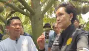 ช้างป่าหลงทางบุกสวนยางพารา ชาวบ้านแตกตื่นวิ่งหนีตาย