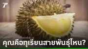 ทายนิสัยจากทุเรียนที่คุณชอบในหน้าร้อนนี้ ตรงหรือไม่?