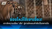 ม็อบชาวสวนยางใต้บุกศาลากลาง สงขลา จี้รัฐแก้ปัญหาราคาตกต่ำ