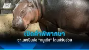 รัฐบาลเตรียมปรับปรุงโครงสร้างภาษีใหม่ หวังกระตุ้นเศรษฐกิจและลดความเหลื่อมล้ำ
