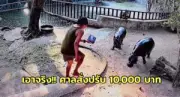 สตูลเตรียมจัดงาน 'มหกรรมอาหารทะเลและของดีเมืองสตูล' กระตุ้นเศรษฐกิจท้องถิ่น