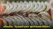 เปิดตัวชุดตรวจสอบ IoT และ AI เพื่อเพิ่มความปลอดภัยในบ้าน