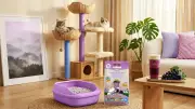 My Paws x JIANCHA เปิดตัวทรายแมวกลิ่นองุ่นครีมชีส ปฏิวัติวงการ Pet Care