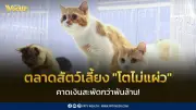 PET EXPO 2026 คึกคัก คาดเงินสะพัดพันล้าน ตลาดสัตว์เลี้ยงโตต่อเนื่อง