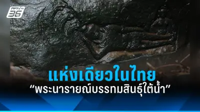 เปิดโผ 10 อันดับสัตว์มีพิษร้ายแรงที่สุดในโลก หนูไม่เชื่อต้องอ่าน