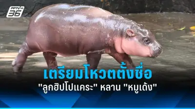 แจกเงินดิจิทัลวอลเล็ต 10,000 บาท เฟสแรกเริ่ม 1 ต.ค. นี้