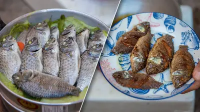 หนุ่มทอดแหได้ปลาหมอคางดำ 15 กก. โชว์นึ่ง-ทอด บอกอร่อยเหมือนปลานิล