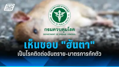 ไขข้อสงสัย! วัคซีนโควิด-19 กับไข้เลือดออก ฉีดติดกันได้หรือไม่