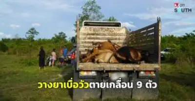 คืบหน้าคดีลักทรัพย์พระเครื่องวัดดังยะลา ตำรวจรวบผู้ต้องหาได้แล้ว 2 ราย