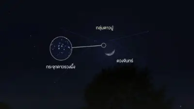 คืนนี้ 4 ทุ่ม ชมดวงจันทร์ผ่านกระจุกดาวรวงผึ้ง ทางทิศตะวันตก