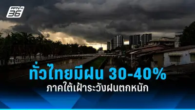 คลอดแล้ว! นางนวลเกาหลีใต้ ตัวแรกในรอบ 4 ปี สร้างความฮือฮา