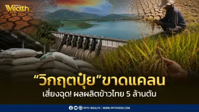 จับตาวิกฤตปุ๋ย เสี่ยงฉุดผลผลิตข้าวไทยหาย 5 ล้านตัน