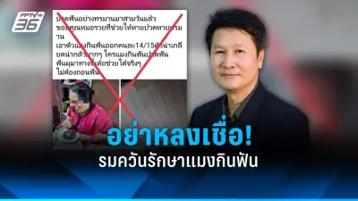 ผู้สูงอายุไทยป่วยโรคไม่ติดต่อเรื้อรังเพิ่มสูงขึ้น แนะปรับพฤติกรรม
