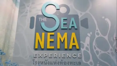 ชมนิทรรศการโรงหนังแห่งท้องทะเล ฟรี! สำรวจวิกฤตใต้ทะเลผ่านศิลปะ