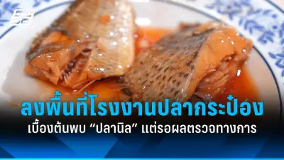 อายุวัฒนะ: ความหวังใหม่ของการชะลอวัยและยืดอายุขัย